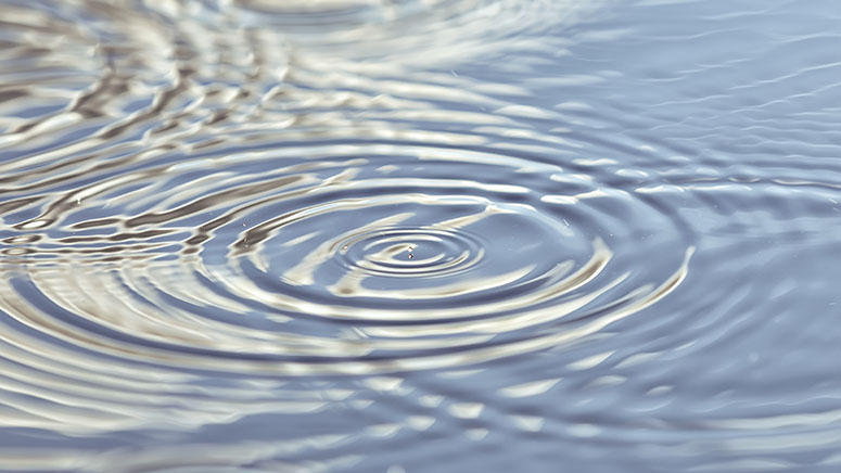 Closeup of concentric water ripple circles in fresh water